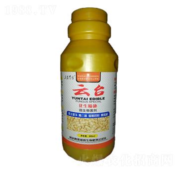 ������ʩ����΢�������-���_(t��i)