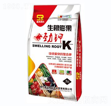 ������������-ʢ��(r��n)�߿�