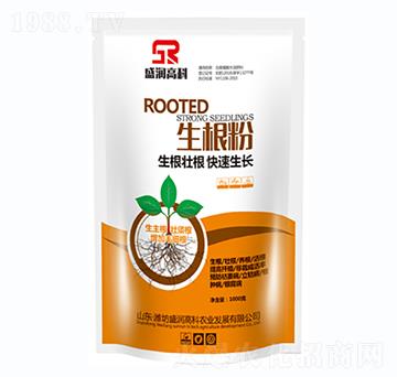 ������-ʢ���߿�