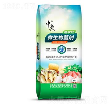 ΢�������-���r(n��ng)��-�����r(n��ng)�I(y��)