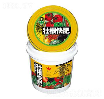 �Ѹ����-��΢����