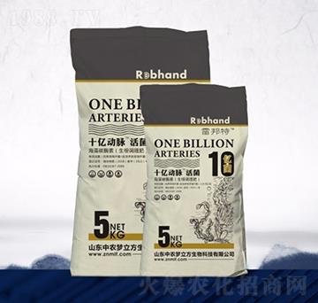 ʮһ���}���-���r(n��ng)��