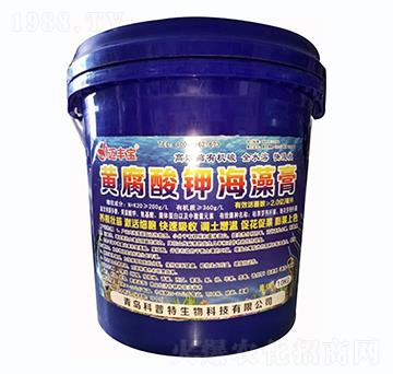 �S����⛺����-�~�S��-������