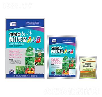 �S�~����A+B-�����-�����_(d��)