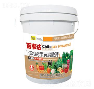 �ָ�����S�����-�����_