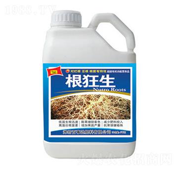 ������-�����_(d��)