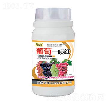 ����һ���t-�����_(d��)