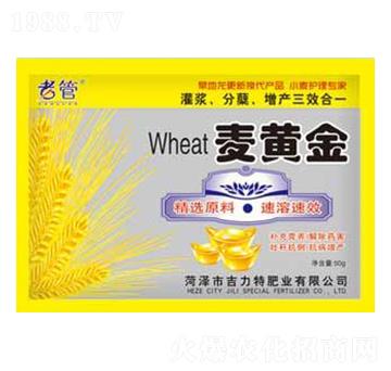 ���S��-�����طʘI(y��)