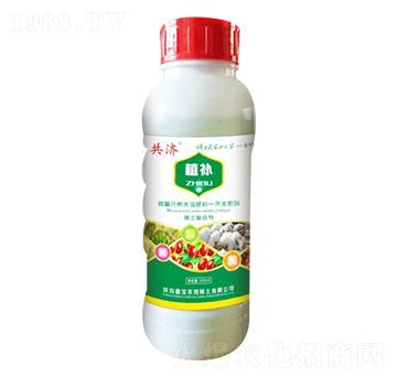 ֲ�a(b��)-����(j��)-�Ό�