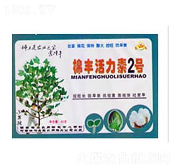 ���S������2̖(h��o)-�Ό�