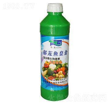 ���d�~(y��)�ʽ�-���d����