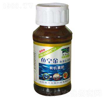 �~(y��)�ʽ��ЙC(j��)����-���d����