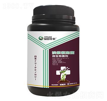 ΢����������������߾���-������r(n��ng)