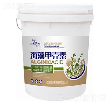 ����ך���-�ʰl(f��)����