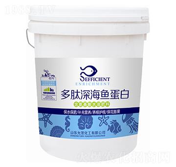 ������~����-�欔-�ʰl(f��)����