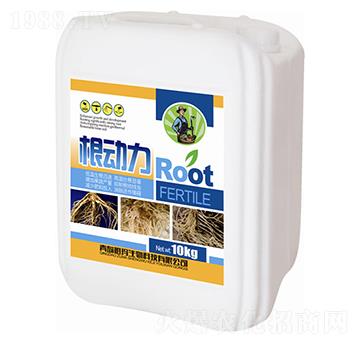 10kg������-�欔-�ʰl(f��)����