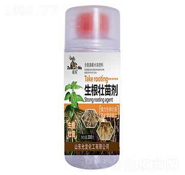 �������焩-�欔-�ʰl(f��)����