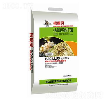 �ݲ�ѿ�ߗU��-�����`-�欔-�ʰl(f��)����