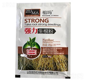 ����������-�欔-�ʰl(f��)����