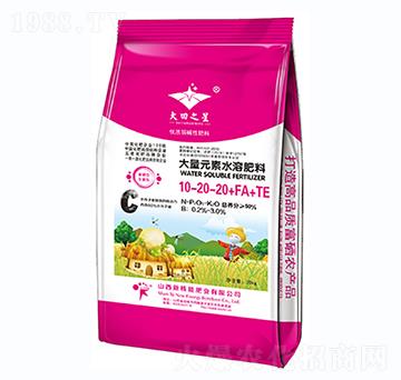 大量元素水溶肥料10-20-20+FA+TE-新核能
