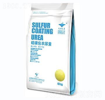 ��ǰ�������-�º���