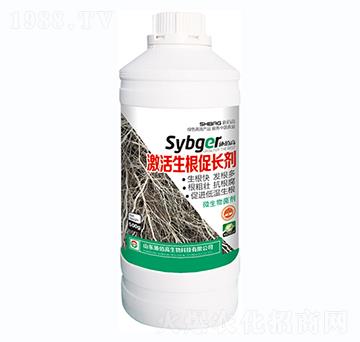 �����������L(zh��ng)��-ʩ�۸�