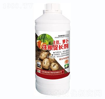 �����}���������L(zh��ng)��-ʩ�۸�