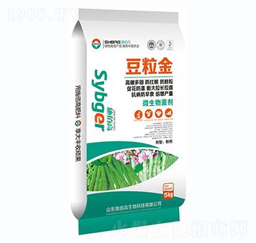 ������-ʩ�۸�