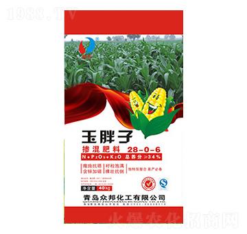 �����ӓ������28-0