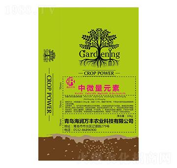 ����Ԫ���w����-����(r��n)�f�S