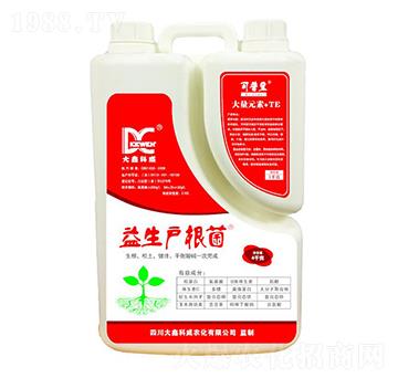 ����������-���ο���