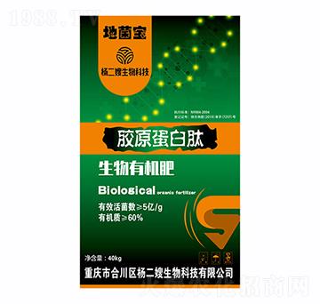 �zԭ������-���ɩ����