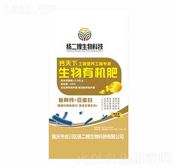 �����ЙC��-�}����-���ɩ����