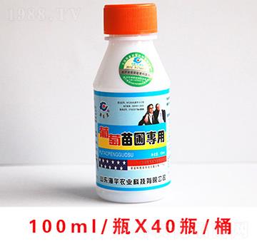 �������Ԍ���100ml-���A�r(n��ng)�I(y��)