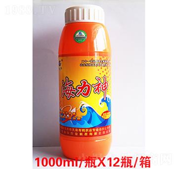 ������8-���A�r(n��ng)�I(y��)