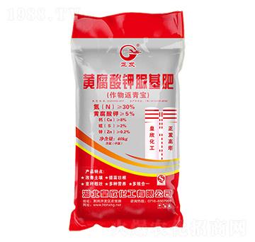 �S����������30-0-0-���l(f��)-��������