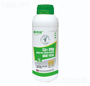 �������}�V��ƿ��-������