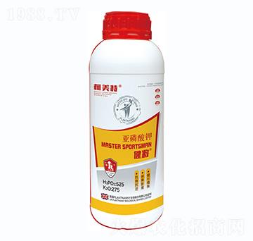 �������������-������