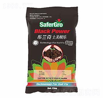 ���m�������ޏ�(f��)��-�՝�����