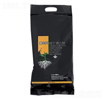 �Ŷ���������-����Ц-��������