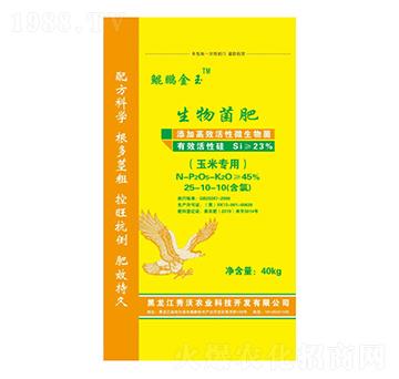 ���׌����������25-10-10-�����r(n��ng)�I(y��)