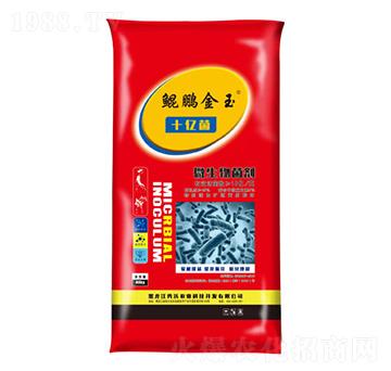 ʮ�|��΢�������-�����r(n��ng)�I(y��)