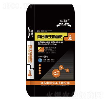 �ͺ�΢�������-�A͢����