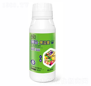 �{�R������500g-�{�R�ʘI(y��)
