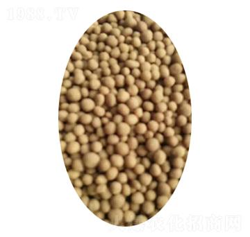 �����w��-��������