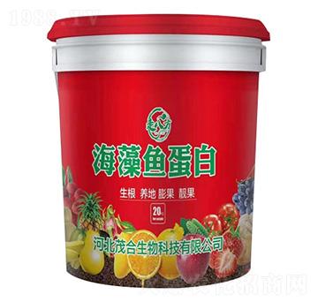 �����~����-�߰˷�-ï������