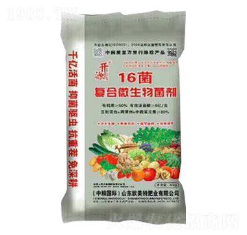 16����(f��)��΢�������-�_Դ-��������