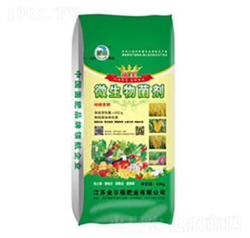 ΢�������-��������