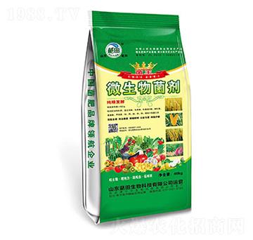 40kg΢�������-��������