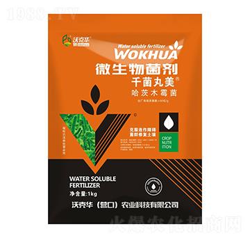 ǧ������΢�������-����ľù��-�ֿ��A